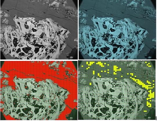 煤岩人工智能AI图像处理 以创新技术重新定义煤岩分析