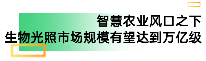 半岛体育app2023广州国际照明展三大重磅举措助力生物光照展区再升维(图1)